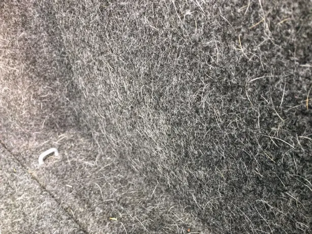 a car mat with pet hair on it.